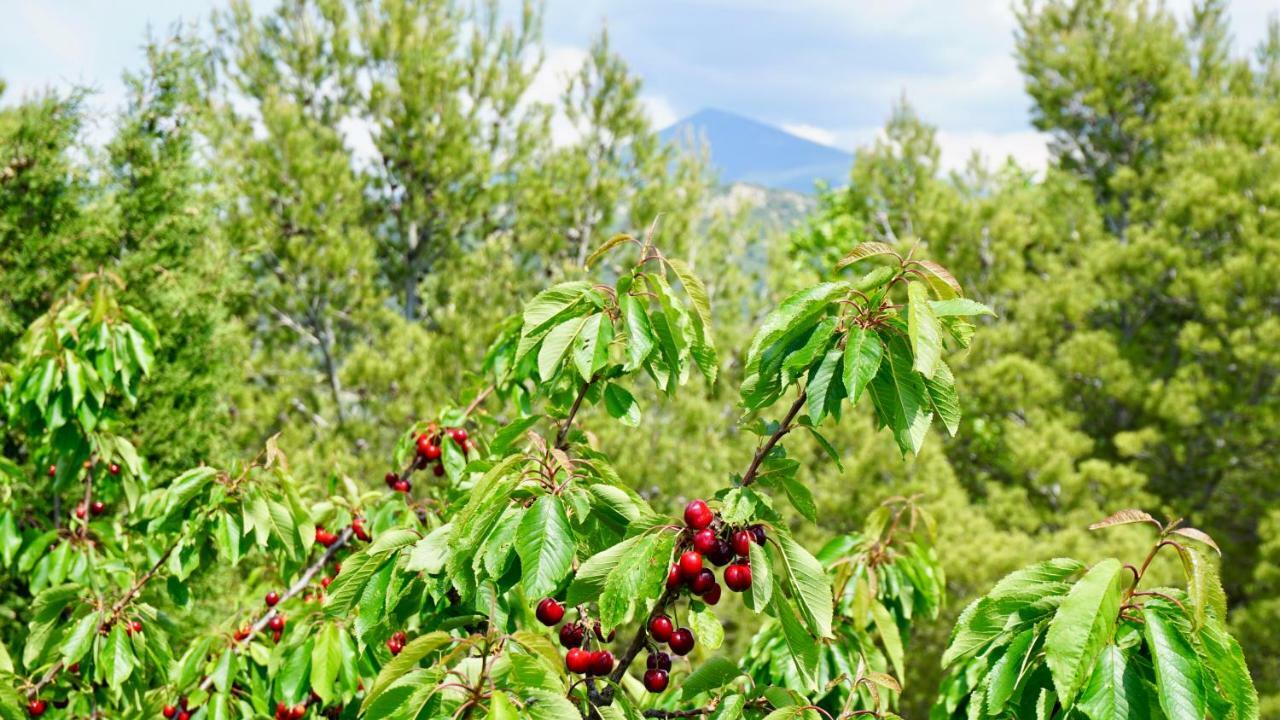La Belle Histoire Gite Luberon Bedoin Luaran gambar